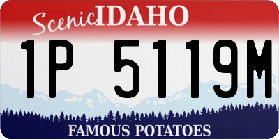 ID license plate 1P5119M