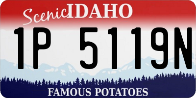 ID license plate 1P5119N