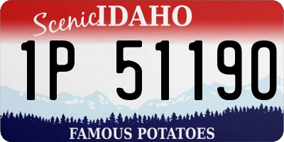 ID license plate 1P5119O