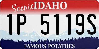 ID license plate 1P5119S
