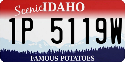 ID license plate 1P5119W