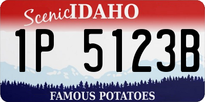 ID license plate 1P5123B