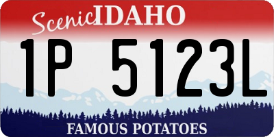 ID license plate 1P5123L