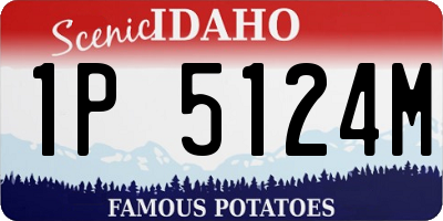 ID license plate 1P5124M
