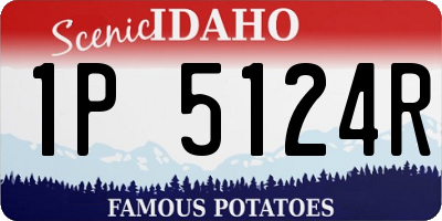 ID license plate 1P5124R