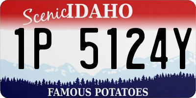 ID license plate 1P5124Y