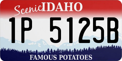 ID license plate 1P5125B