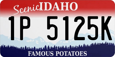 ID license plate 1P5125K