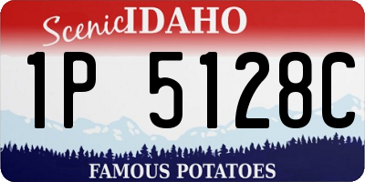 ID license plate 1P5128C