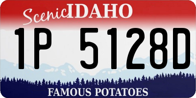 ID license plate 1P5128D