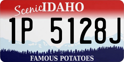 ID license plate 1P5128J