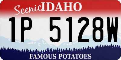ID license plate 1P5128W