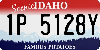 ID license plate 1P5128Y