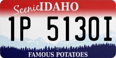 ID license plate 1P5130I