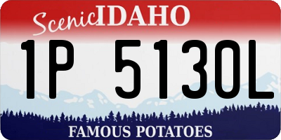 ID license plate 1P5130L