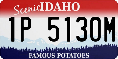 ID license plate 1P5130M