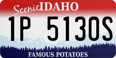 ID license plate 1P5130S