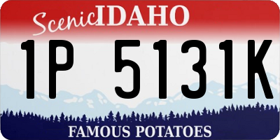 ID license plate 1P5131K