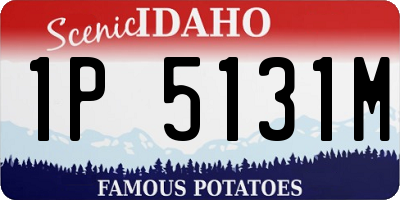 ID license plate 1P5131M