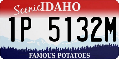 ID license plate 1P5132M