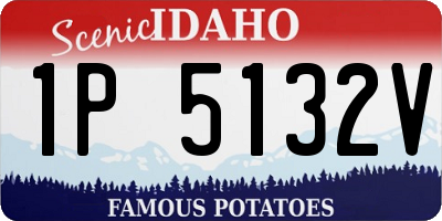ID license plate 1P5132V