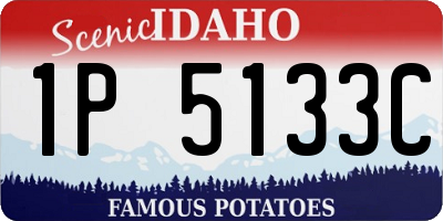 ID license plate 1P5133C