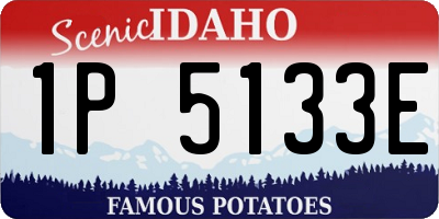 ID license plate 1P5133E