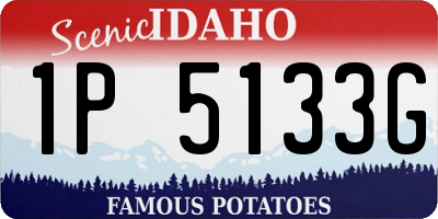 ID license plate 1P5133G