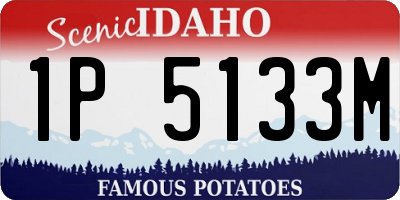 ID license plate 1P5133M