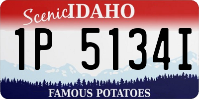 ID license plate 1P5134I