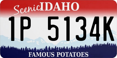 ID license plate 1P5134K