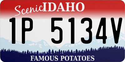 ID license plate 1P5134V