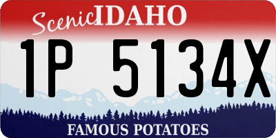 ID license plate 1P5134X