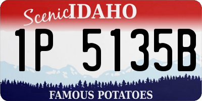 ID license plate 1P5135B