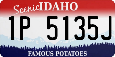 ID license plate 1P5135J