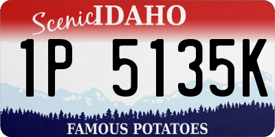 ID license plate 1P5135K