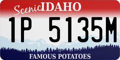 ID license plate 1P5135M