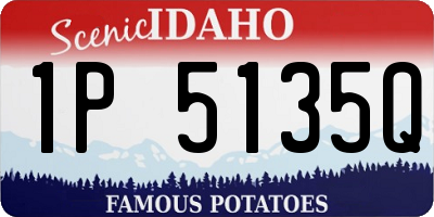 ID license plate 1P5135Q