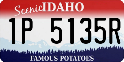 ID license plate 1P5135R