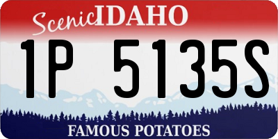 ID license plate 1P5135S