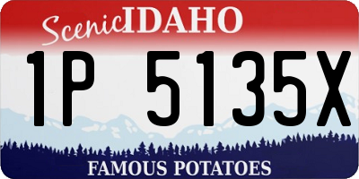 ID license plate 1P5135X