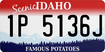 ID license plate 1P5136J