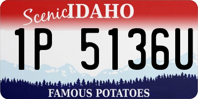 ID license plate 1P5136U
