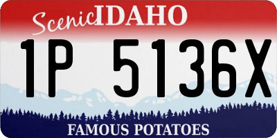ID license plate 1P5136X