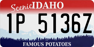ID license plate 1P5136Z