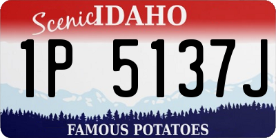 ID license plate 1P5137J