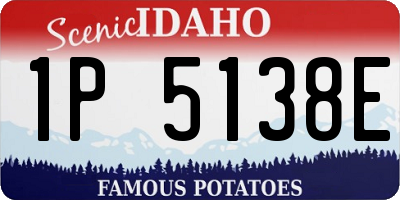 ID license plate 1P5138E