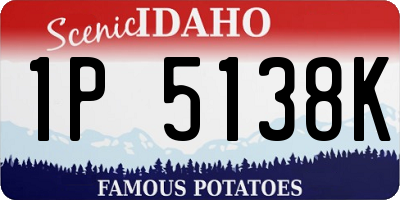 ID license plate 1P5138K