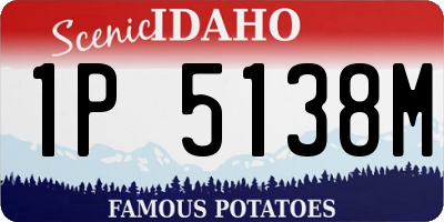 ID license plate 1P5138M