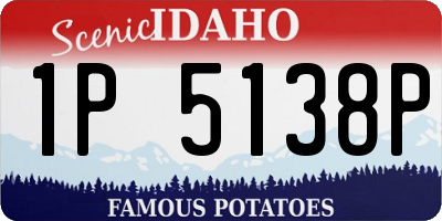 ID license plate 1P5138P